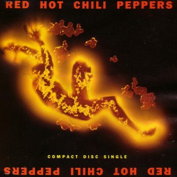 Red Hot Chili Peppers Suck My Kiss - Live