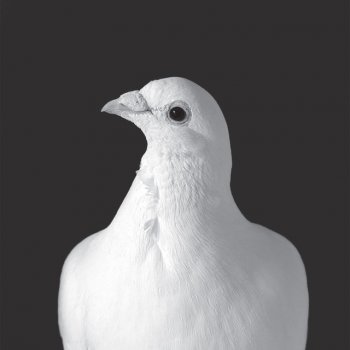 Miss NatNat feat. Wolfgang Lohr & Artenvielfalt Sunbelt Regret - Mollono.Bass Remix