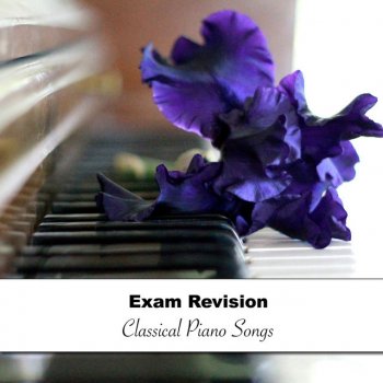 Piano Pianissimo feat. Exam Study Classical Music & Exam Study Classical Music Orchestra Bach's Aria da Capo Fine