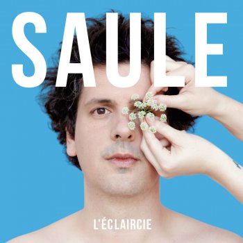 Saule L'éclaircie