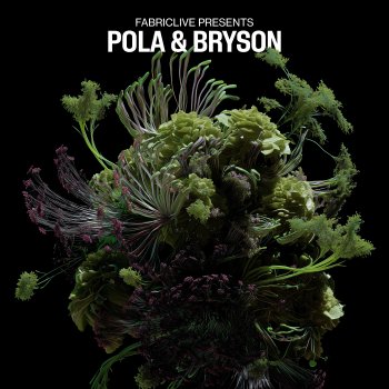 Исполнитель Pola feat. Bryson, альбом FABRICLIVE presents Pola & Bryson