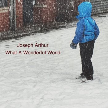 Joseph Arthur What a Wonderful World