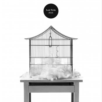 Исполнитель Lost Twin, альбом Birds