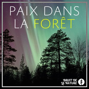 Bruit De La Nature Forgive Think