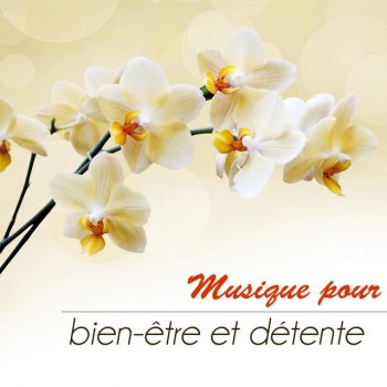 Oasis de Détente et Relaxation Sérénité