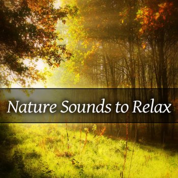 Stress Relief Calm Oasis Gentle Nature