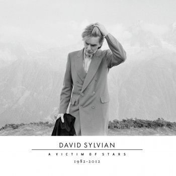 David Sylvian Where's Your Gravity?