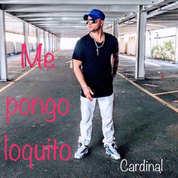Cardinal Me Pongo Loquito