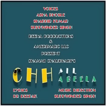 Asha Bhosle feat. Shabbir Kumar O Mundeya Mainnu Das De
