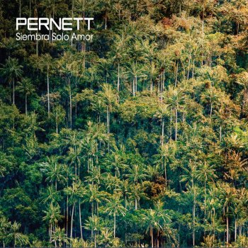 Pernett El Camino del Muntú (Radio Edit)