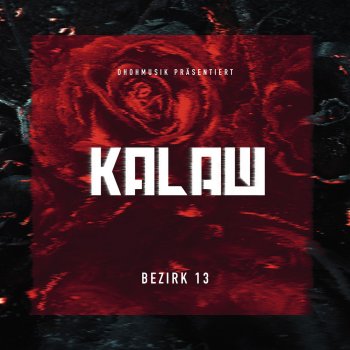 Kalazh44 Plan X