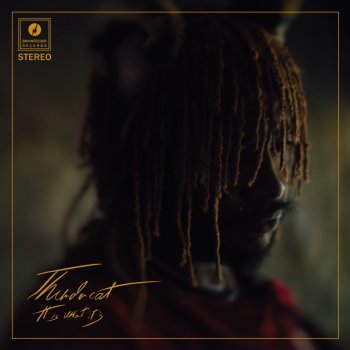 Thundercat Overseas (feat. Zack Fox)