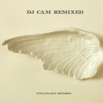 DJ Cam Swim (Blackjoy remix)