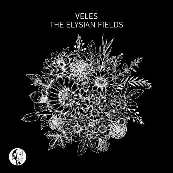 Veles Broken Promises (Erly Tepshi Remix)