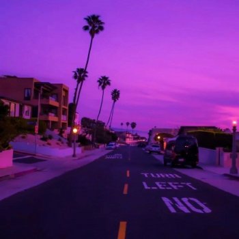 Pluuf Midnight Purple