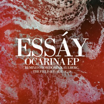 Essay Ocarina