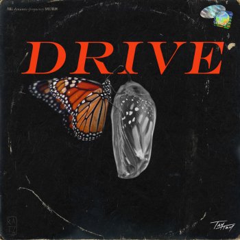 Tamtam Drive