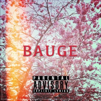 BAUGE Pride