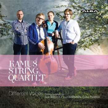 Kamus Quartet String Quartet in D Minor, Op. 56 "Voces intimae": V. Allegro