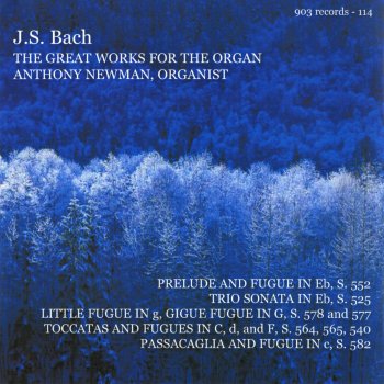 Bach; Anthony Newman Toccata and Fugue in F Major, BWV 540: Toccata