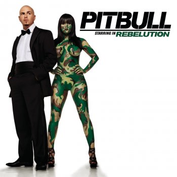 Pitbull Can't Stop Me Now
