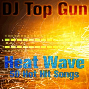 DJ Top Gun Adele - Set Fire to the Rain (Vocal Melody Version)