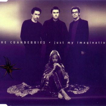 The Cranberries Animal Instinct (live)