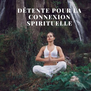 Ensemble de Musique Zen Relaxante Tout à fait contemplation