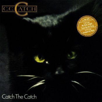 C.C.Catch You Shot a Hole in My Soul (maxi-version)