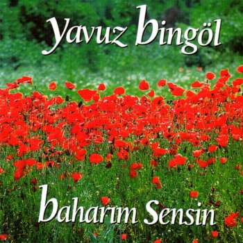 Yavuz Bingöl Dağlar