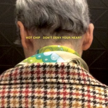Hot Chip Flutes (A JD Twitch Optimo rRemix)