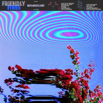 Friendly Fires Silhouettes