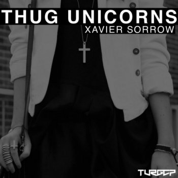 Xavier Sorrow Unicorn Party