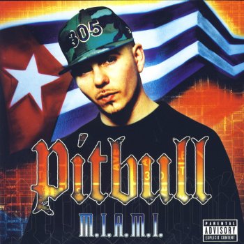 Pitbull feat. Oobie I Wonder