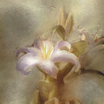 Исполнитель yung kai, альбом flower - Single