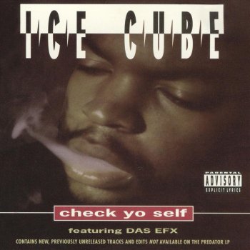 Ice Cube feat. Das EFX Check Yo Self (radio remix "The Message")