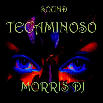 Morris DJ House Break