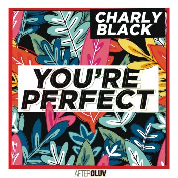 Charly Black You're Perfect
