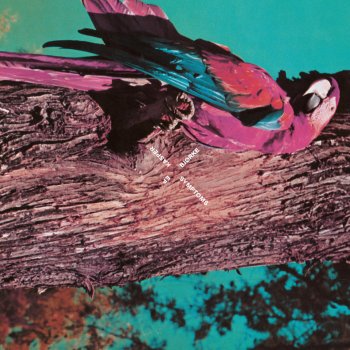 Kasper Bjørke Symptoms