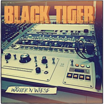 Black Tiger Wälder'n'Wiese - Acapella