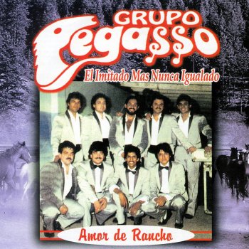 Grupo Pegasso Es Mejor Así