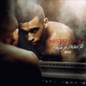 Mister You feat. Rim'K Fatalité