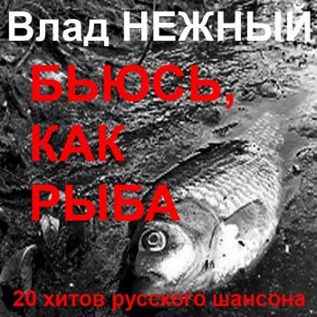 Влад Нежный Ах, какие ножки