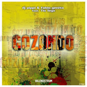 Исполнитель Fabio Genito feat. DJ Pippi, альбом Gozando