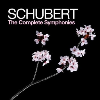 Münchner Symphoniker Symphony No. 4 in C Minor, D. 417, "Tragic": IV. Allegro