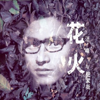 汪峰 Hua Huo