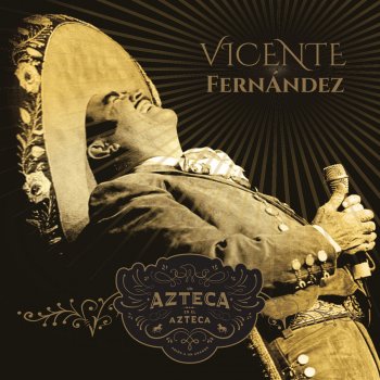 Vicente Fernández Las Golondrinas (En Vivo [Un Azteca en el Azteca] [Versión Editada])