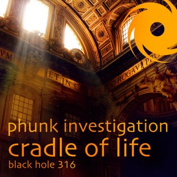 Phunk Investigation Cradle of Life (Phunk Investigation & Samy Chelly Mix)