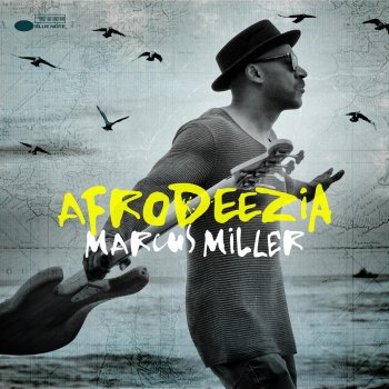 Marcus Miller Hylife
