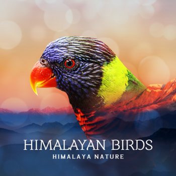 Himalaya Nature Twittering Spring